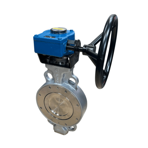 double offset wafer valve